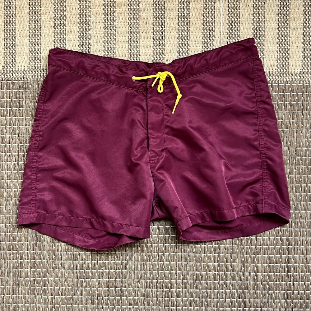 american apparel mens swimtrunks in rare color